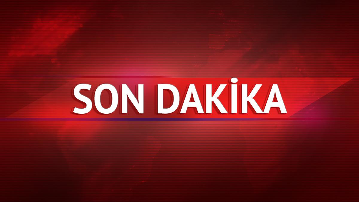 Sosyal Medya Şaklabanı