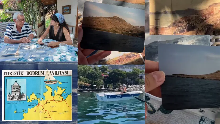Bodrum orman dönüşümü