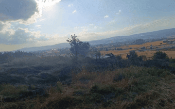 Bolu Yangınları