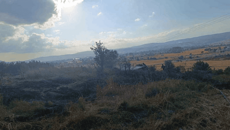Bolu Yangınları
