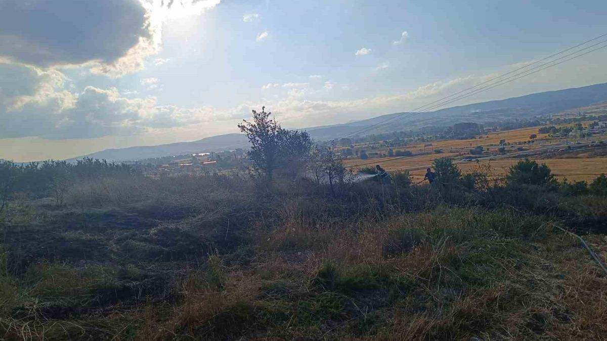 Bolu Yangınları