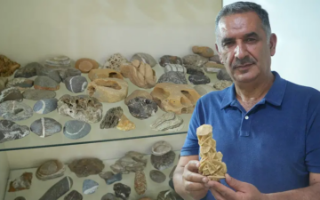 Taş Koleksiyonu
