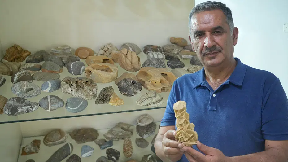 Taş Koleksiyonu