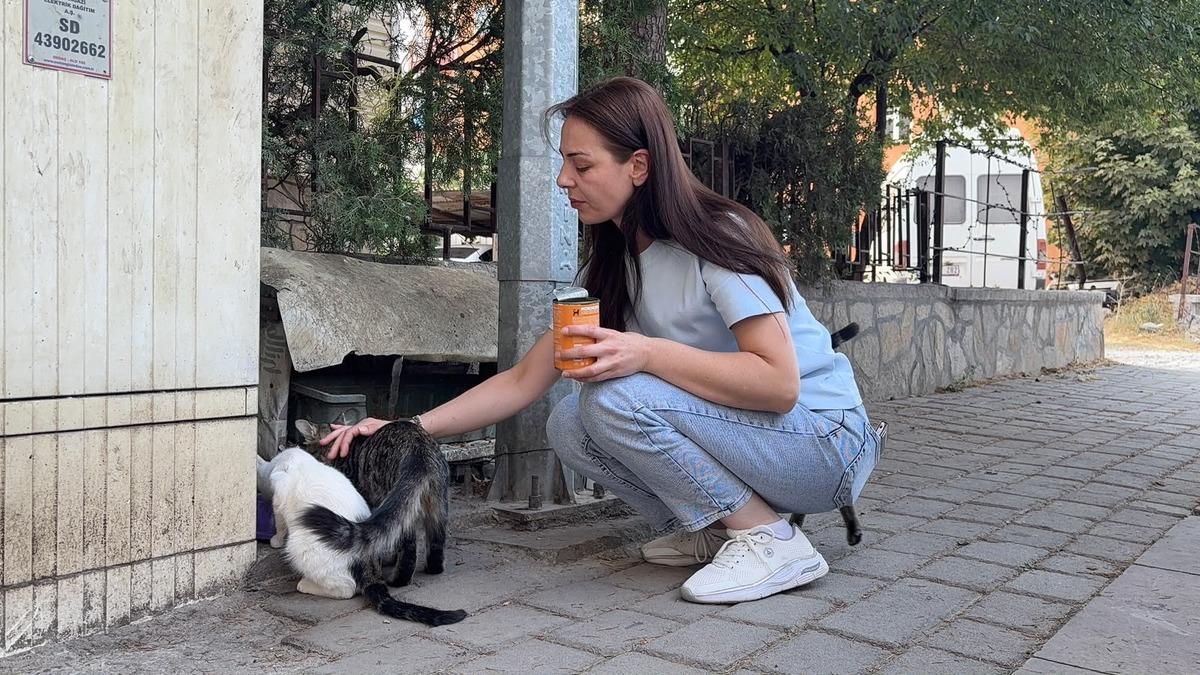 kedi öldürülmesi