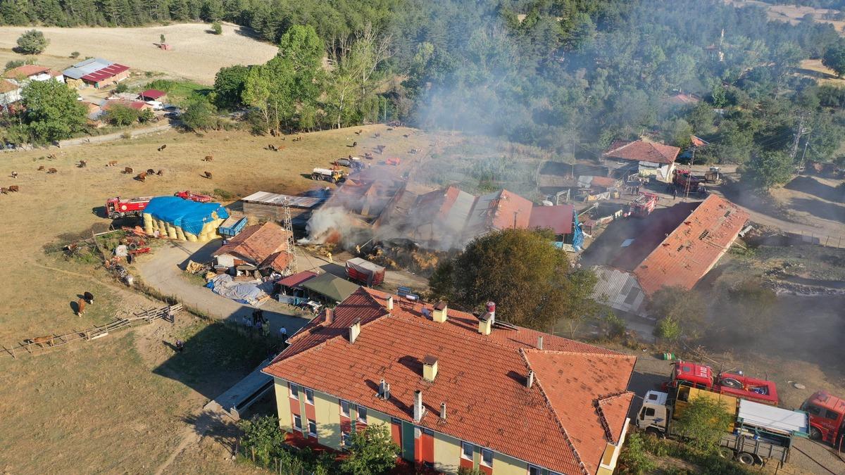 Kastamonu Yangın